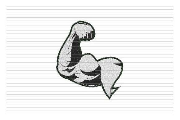 Reviewing Body Building Embroidery Logo Fitness